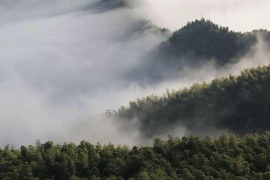 怎样简便地看出一块田的面积？一亩地有多大？游戏画面